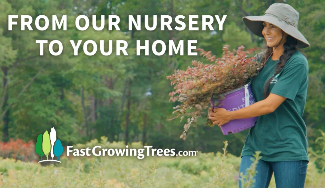 Transform Your Backyard