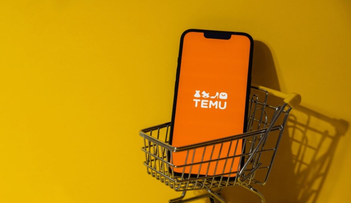 Temu Hidden Gems