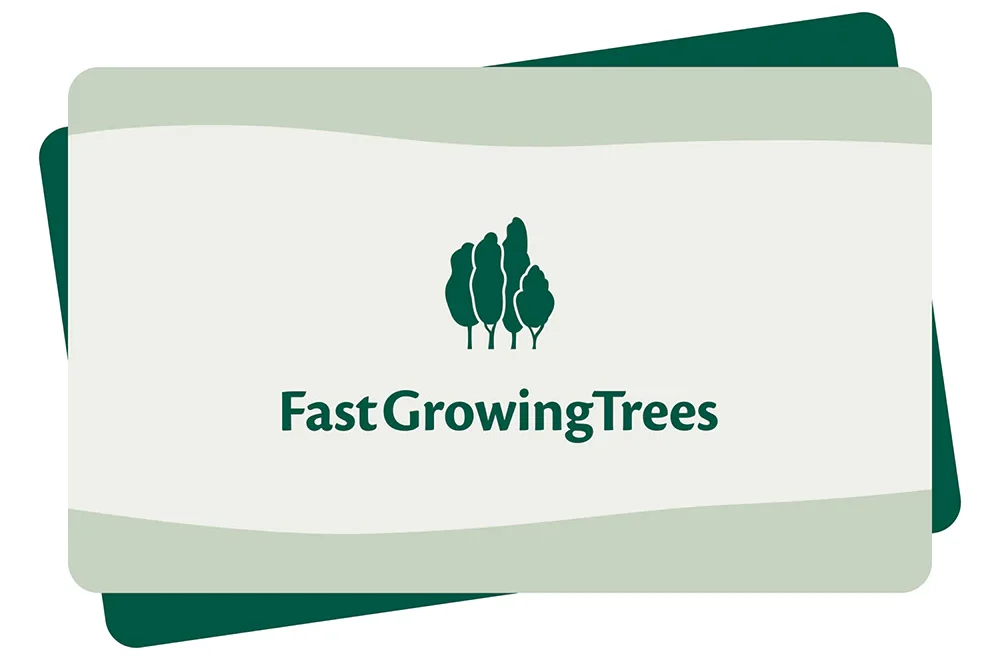 Fast Growing Urban Trees