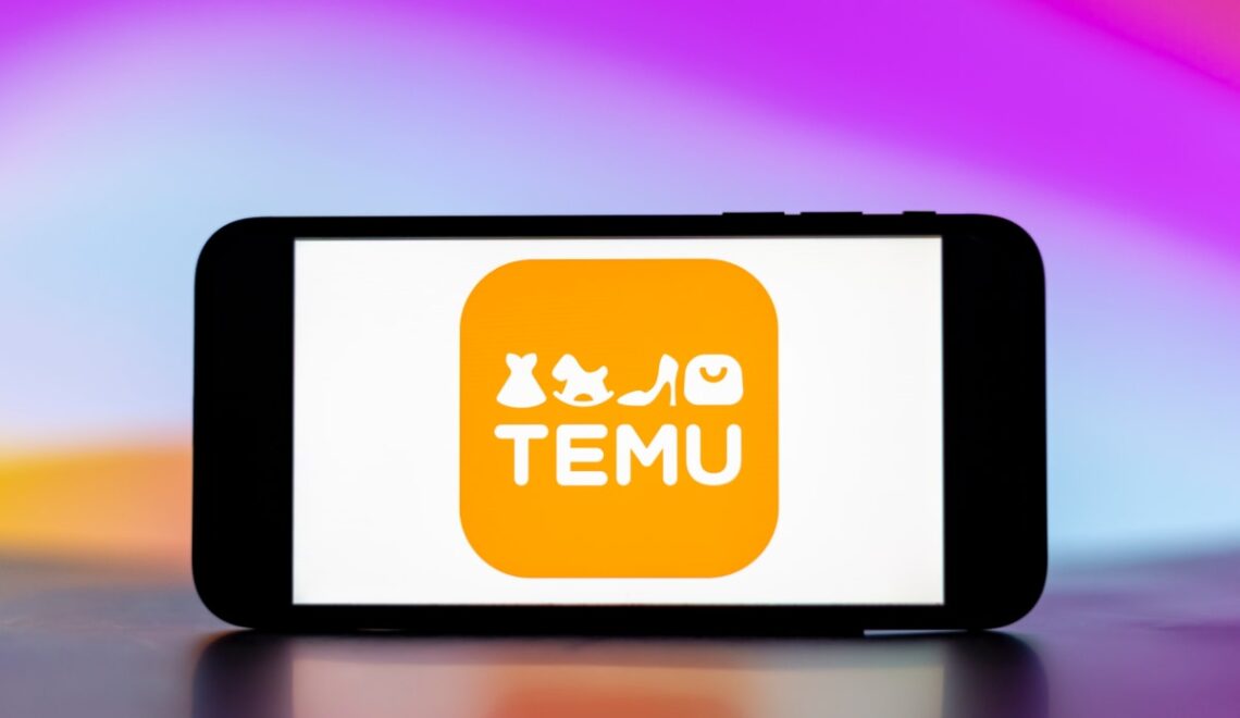 Temu Decor Hacks